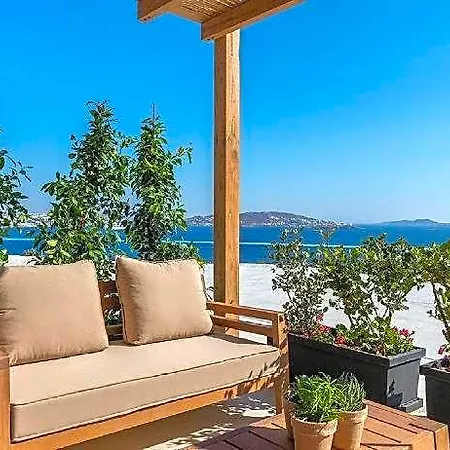 Hotel Destino Pacha Mykonos 5*